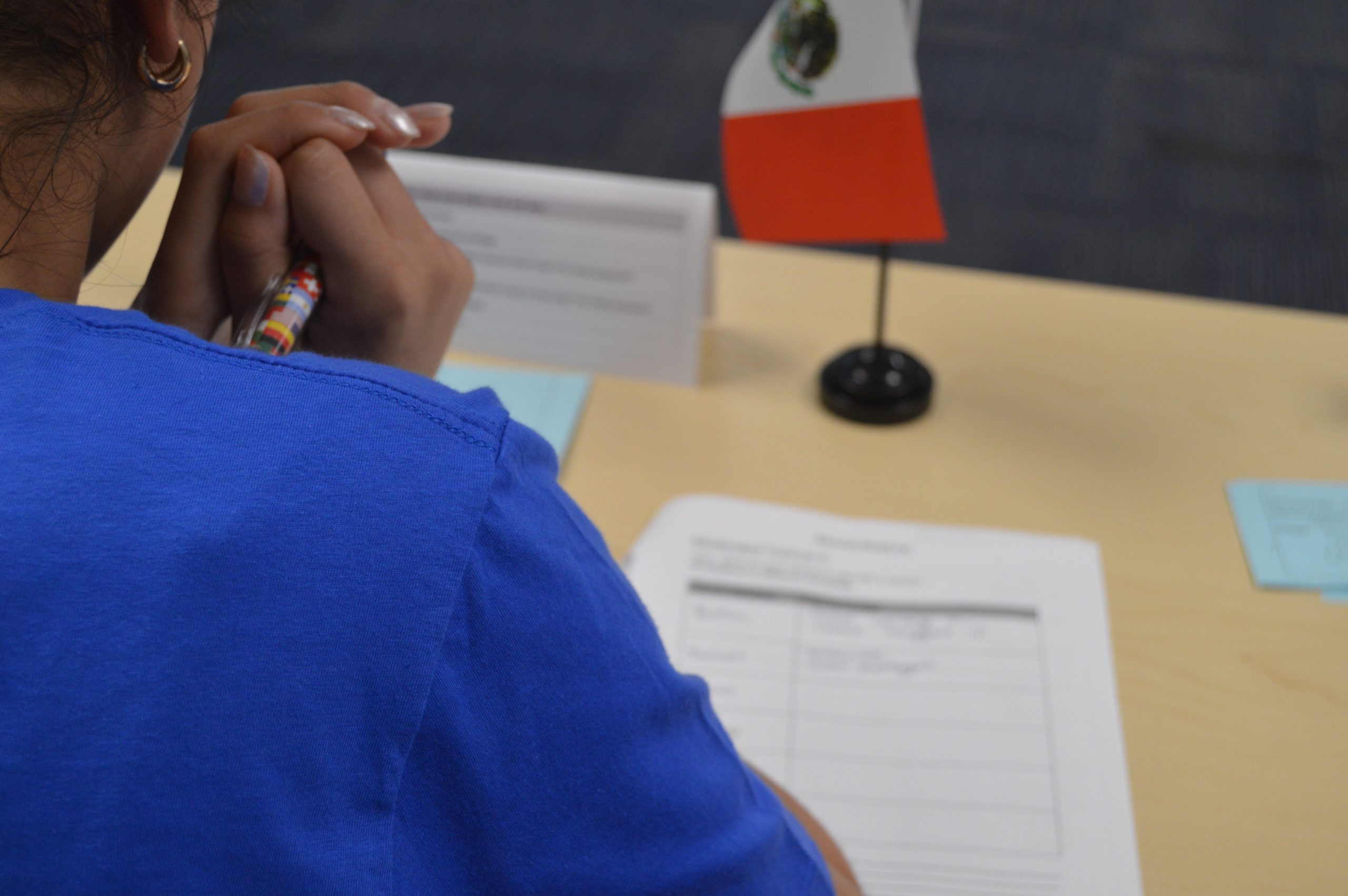 Student participating in Model UN
