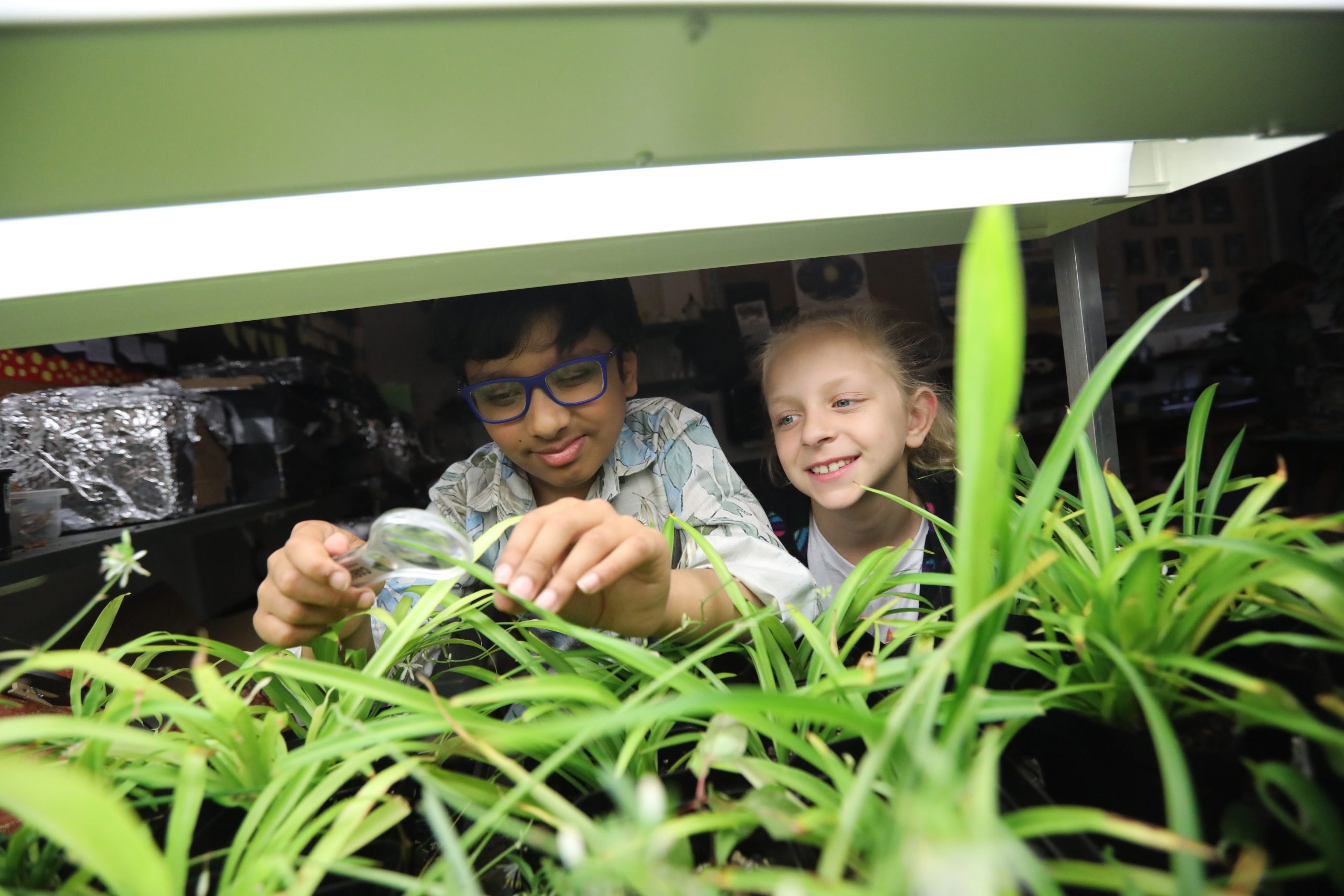 Students investigating during a science class.