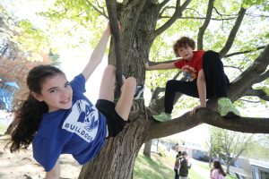 Lower School students at Bancroft School climbing trees at recess.